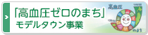 「高血圧ゼロのまち」モデルタウン事業 「高血圧ゼロのまち」モデルタウン事業
